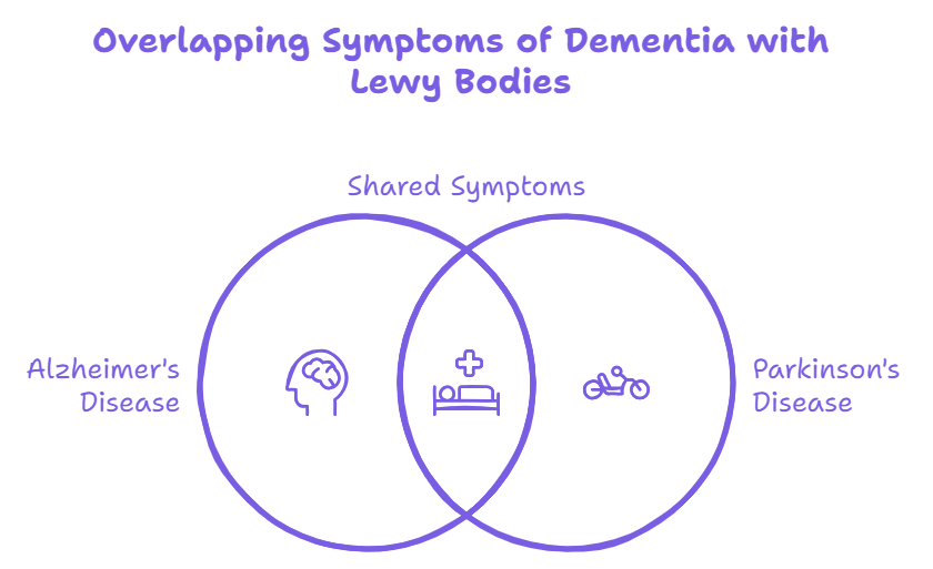Lewy Bodies dementia diagram