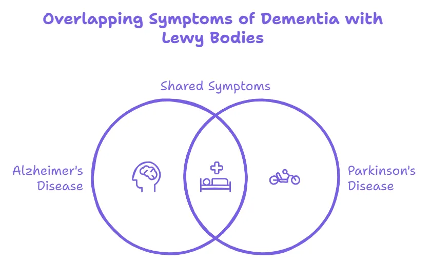 Lewy Bodies dementia diagram