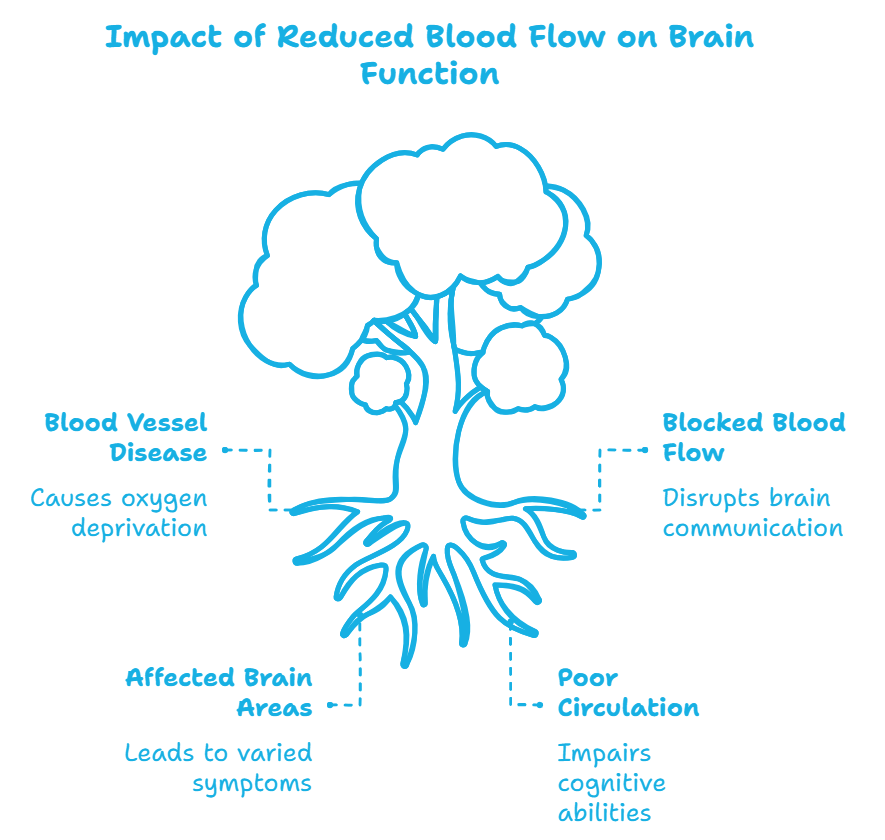Vascular dementia diagram