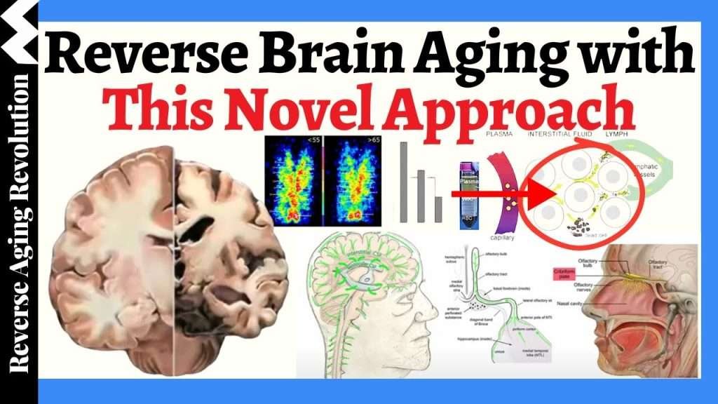 Revolutionary Device to Reverse Brain Aging and Combat Alzheimer’s