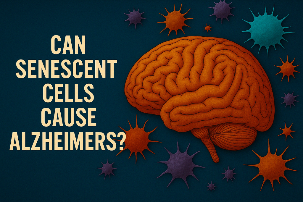 Can senescent cells cause Alzheimer's?